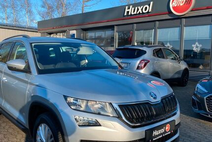Skoda Kodiaq 143.500 km 19.950 &euro; Beverstedt 27616