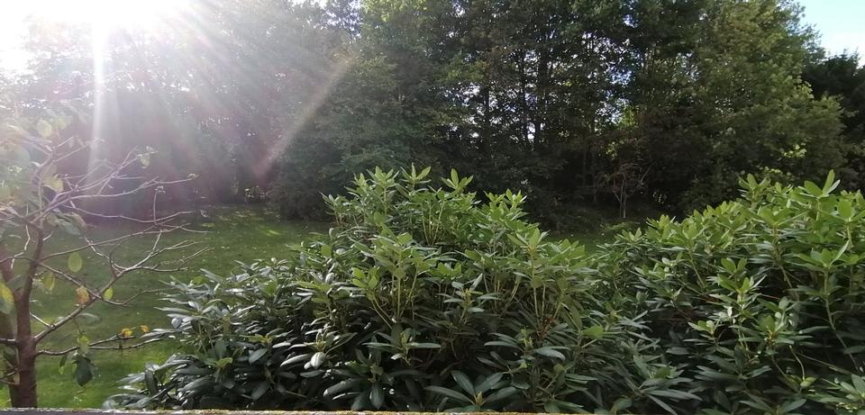 3 ZKB in Bremerhaven am Bürgerpark mit Balkon und PKW Stellplatz 3 zimmer