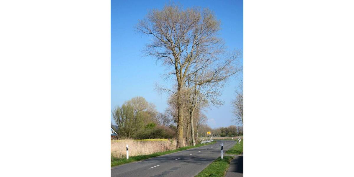 Grundstück Wurster Nordseeküste Cappel-Neufeld - 186.000&euro; | Angebot:22491420