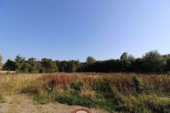 Grundstück Butjadingen / Eckwarden Stollhamm - 89.000&euro; | Angebot:25771970