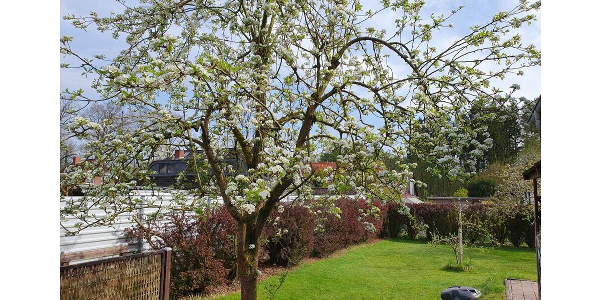 Einfamilienhaus Hagen im Bremischen - 6 Zimmer, 156 m&sup2;, 335.000&euro; | Angebot:26818517