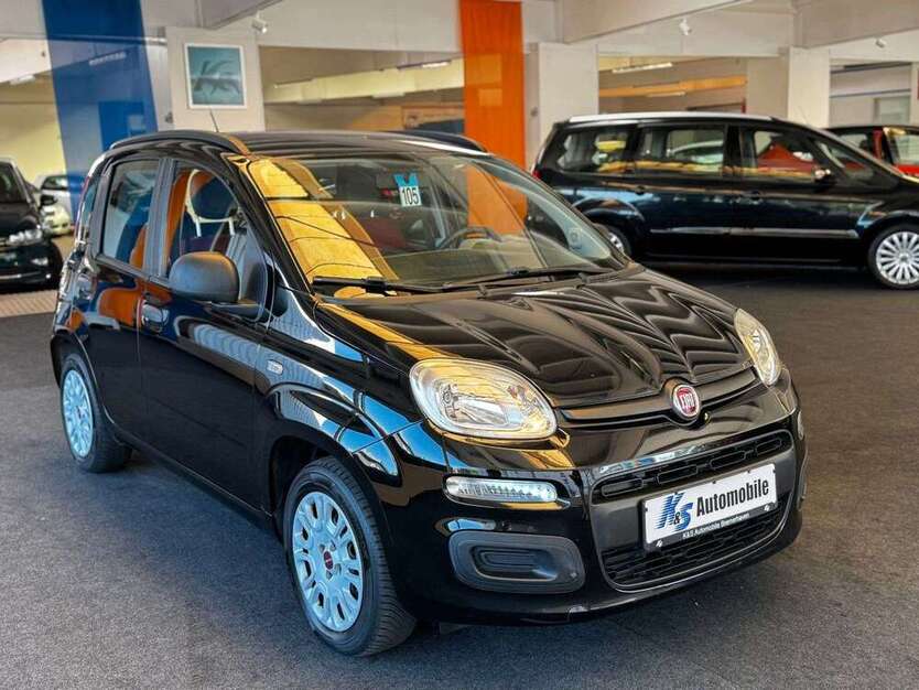 Panda