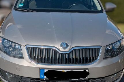 Skoda Octavia 170.419 km 8.950 € Schwanewede 28790