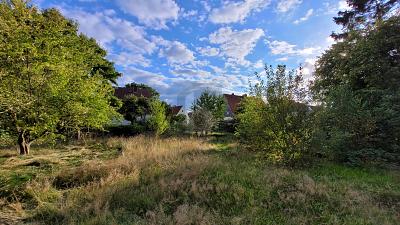 IHR TINY-HAUS BEGINNT HIER zimmer