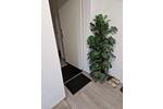Erdgeschoßwohnung Brake (Unterweser) - 2 Zimmer, 68 m&sup2;, 560&euro; | Angebot:26227812