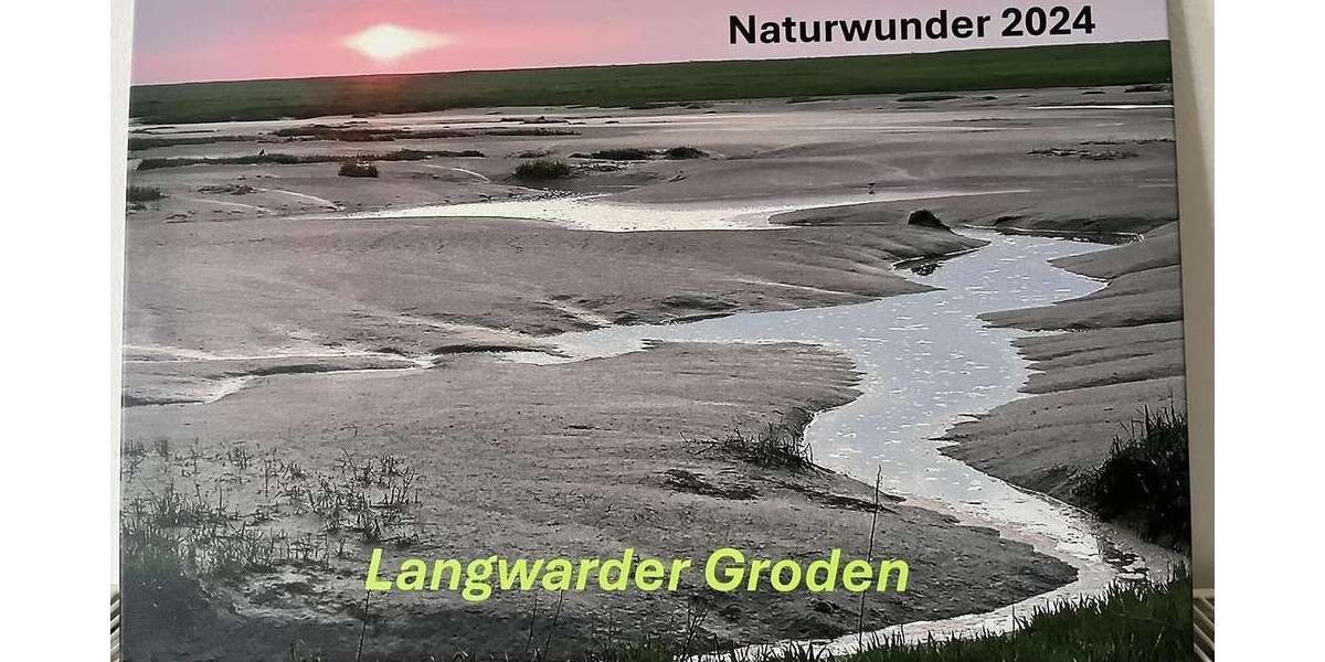 Grundstück Butjadingen - 136.000&euro; | Angebot:24975820