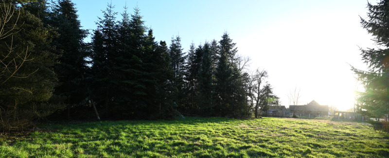 Grundstück Lintig Lintig - 190.000&euro; | Angebot:25676065