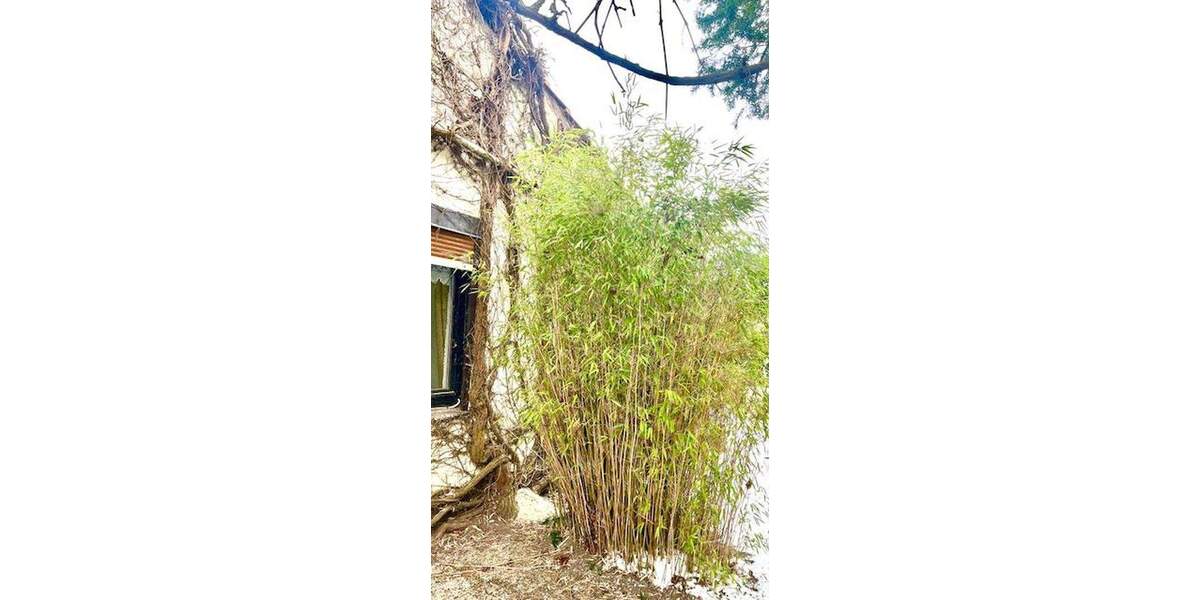 Mehrfamilienhaus, Wohnhaus Bremerhaven Lehe - 8 Zimmer, 140 m&sup2;, 250.000&euro; | Angebot:25724271