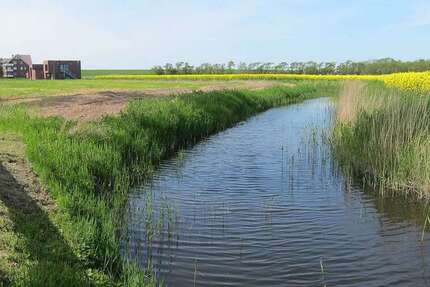 Grundstück Wurster Nordseeküste Cappel-Altendeich - 186.000&euro; | Angebot:22499726