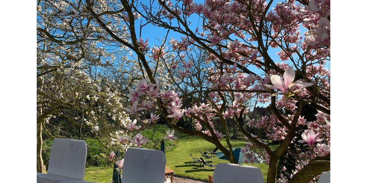 Hochparterre Butjadingen - 1 Zimmer, 35 m&sup2;, 850&euro; | Angebot:24660297