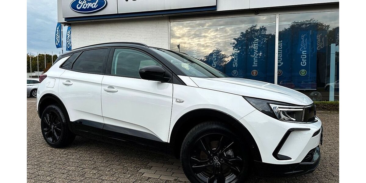 Opel Grandland (X) 19.756 km 24.495 &euro; Brake 26919