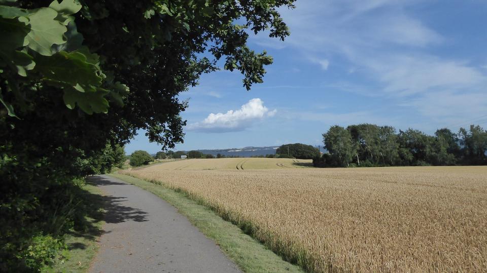 Vermiete großes Wohnhaus 8 zimmer