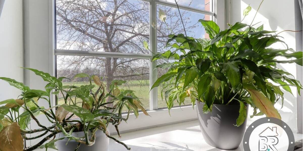 Einfamilienhaus Loxstedt Donnern - 8 Zimmer, 213 m&sup2;, 375.000&euro; | Angebot:26117427