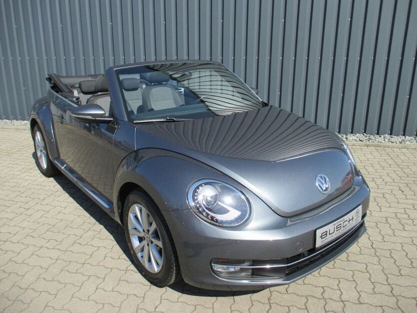 Beetle