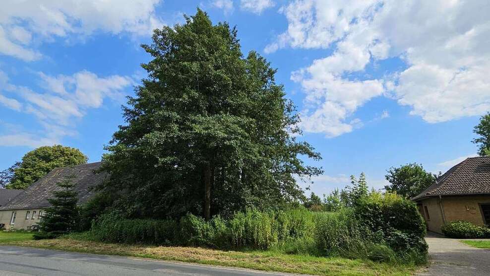Grundstück zu verkaufen in Wurster Nordseeküste 40.000 € 1028 m²