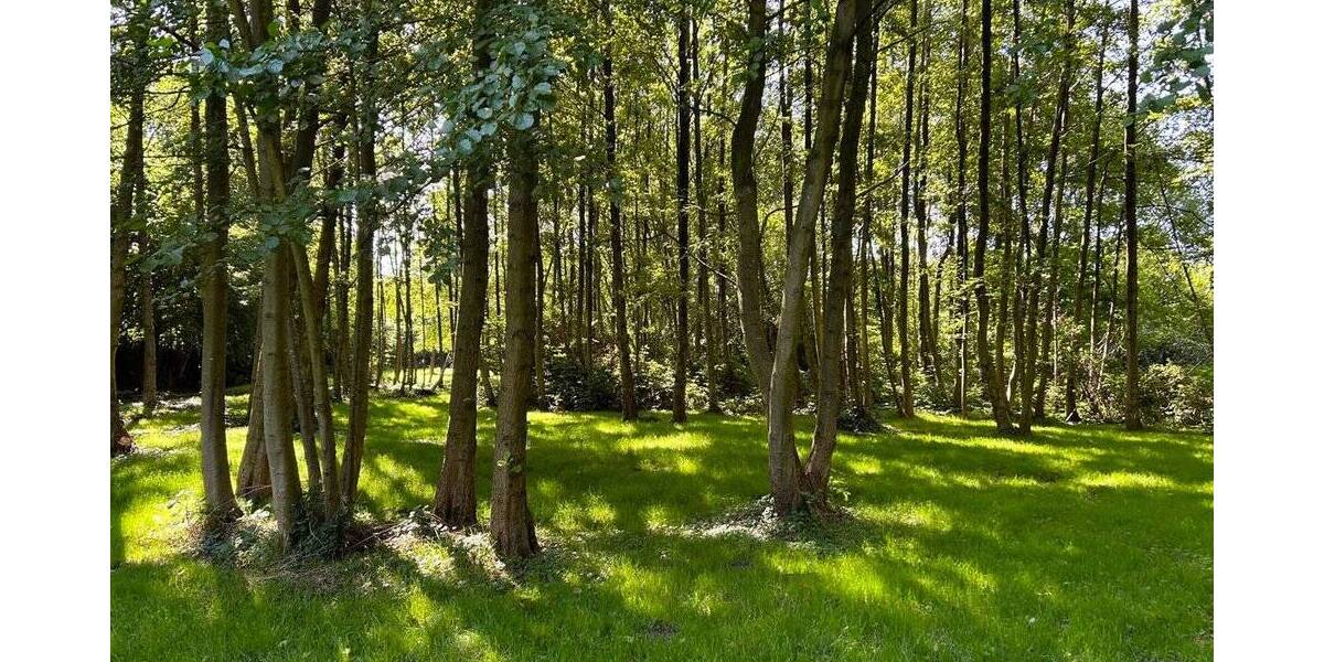 Grundstück Bremerhaven Langen - 1.400.000&euro; | Angebot:25835578