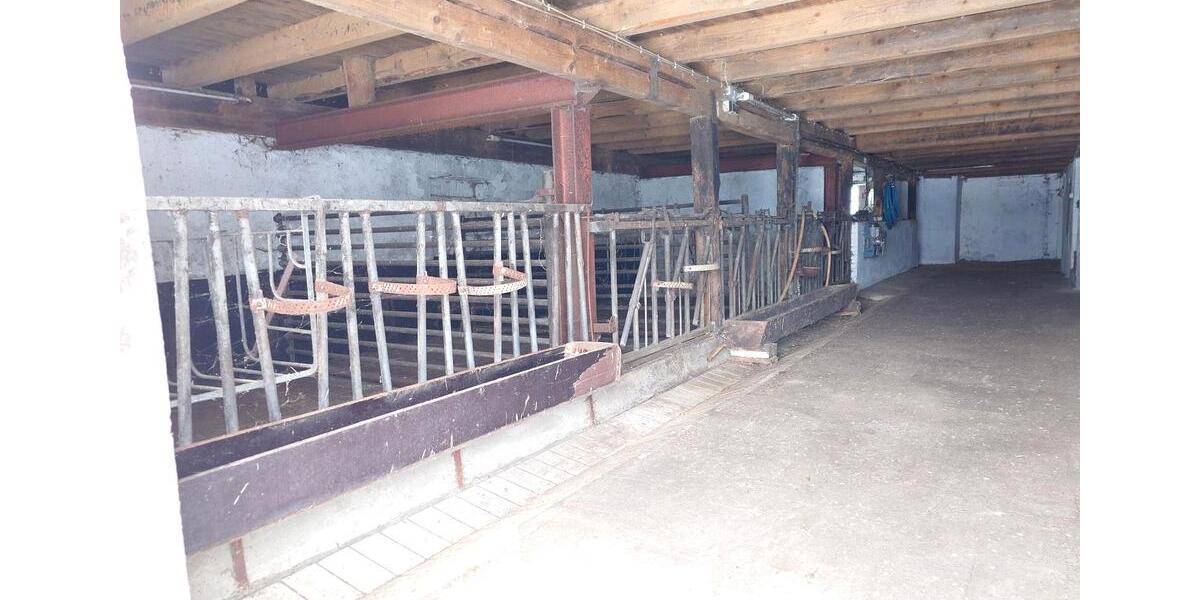 Einfamilienhaus Beverstedt - 8 Zimmer, 240 m&sup2;, 2.950&euro; | Angebot:24773878