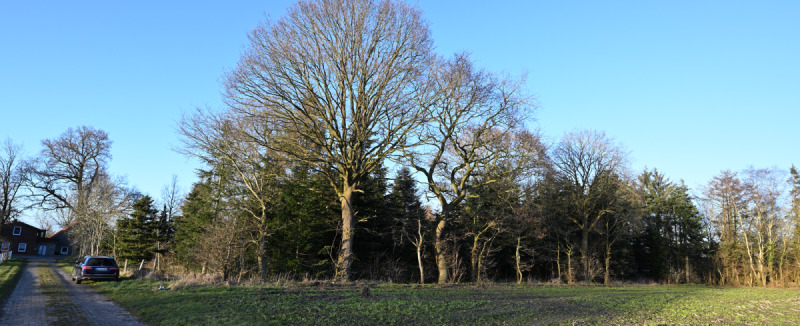 Grundstück Lintig Lintig - 190.000&euro; | Angebot:25676065