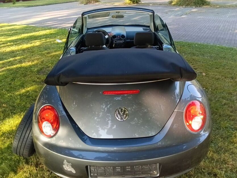 Beetle