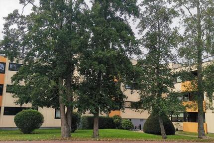 Sonnige 1-Zimmerwohnung im Mittelweg zimmer