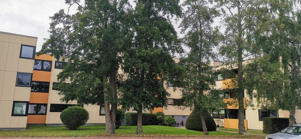 Sonnige 1-Zimmerwohnung im Mittelweg zimmer