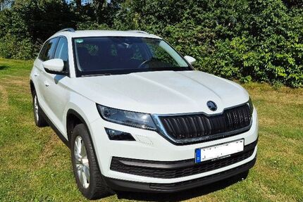 Skoda Kodiaq 69.750 km 23.750 &euro; Geestland 27607