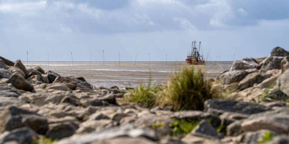 Mehrfamilienhaus, Wohnhaus Wurster Nordseeküste Neufeld - 3 Zimmer, 61 m&sup2;, 245.000&euro; | Angebot:25969676