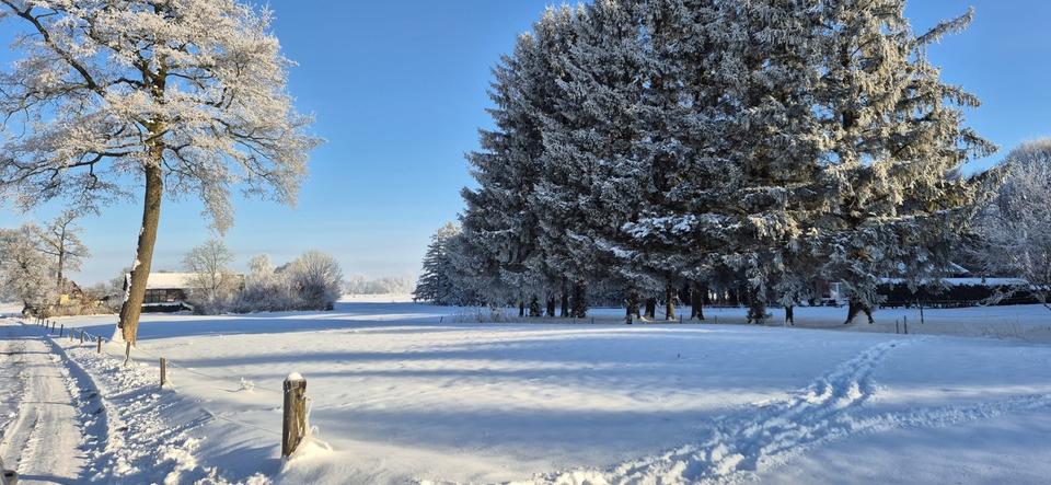 Bauernhaus, Landhaus Nordleda - 8 Zimmer, 200 m&sup2;, 270.000&euro; | Angebot:25810790