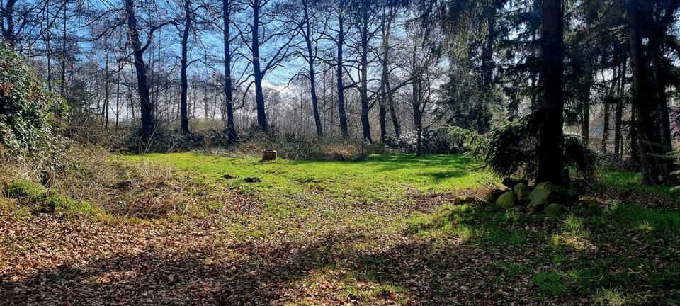 Einfamilienhaus Loxstedt - 7 Zimmer, 165 m&sup2;, 375.000&euro; | Angebot:26065931