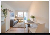 1 ZKB Wohnung möbliert mit Einbauküche Neustadt zu verkaufen