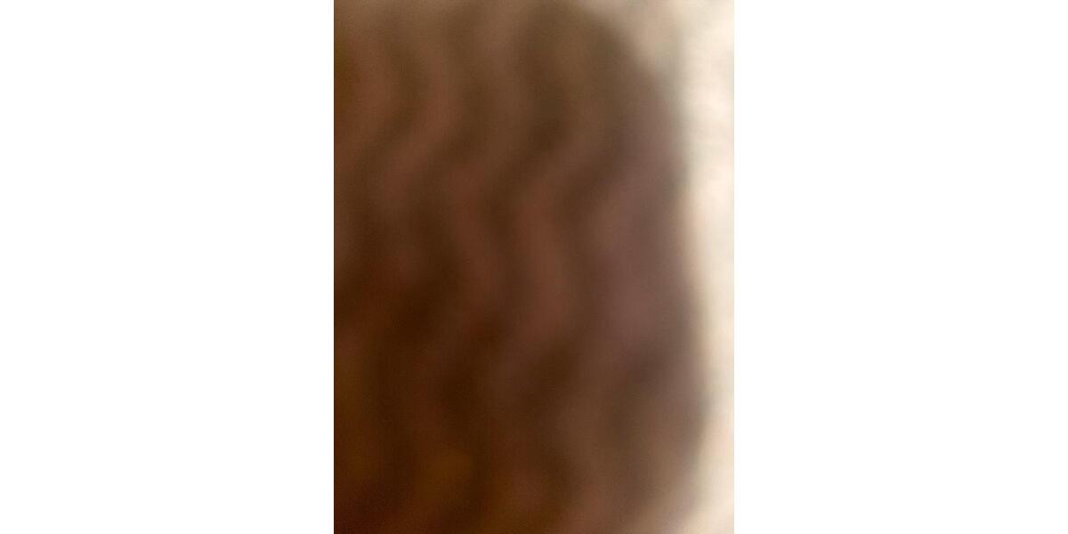 Erdgeschoßwohnung Bremerhaven Schiffdorferdamm - 1 Zimmer, 35 m&sup2;, 340&euro; | Angebot:25236667