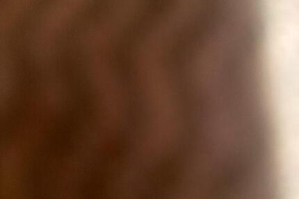 Wohnung Bremerhaven Schiffdorferdamm - 1 Zimmer, 35 m&sup2;, 340&euro; | Angebot:25236667