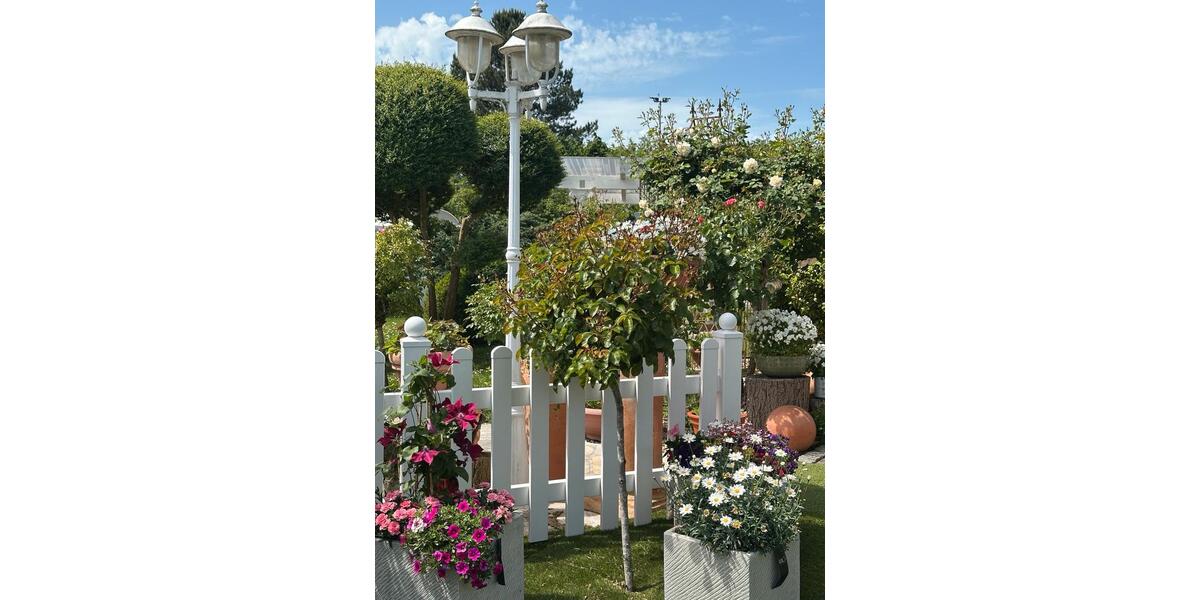 Einfamilienhaus Geestland - 8 Zimmer, 299 m&sup2;, 679.000&euro; | Angebot:26748647