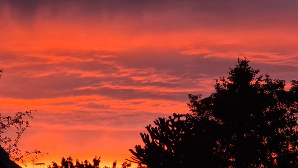 Etagenwohnung Bremerhaven Wulsdorf - 2 Zimmer, 60 m&sup2;, 980&euro; | Angebot:11017240