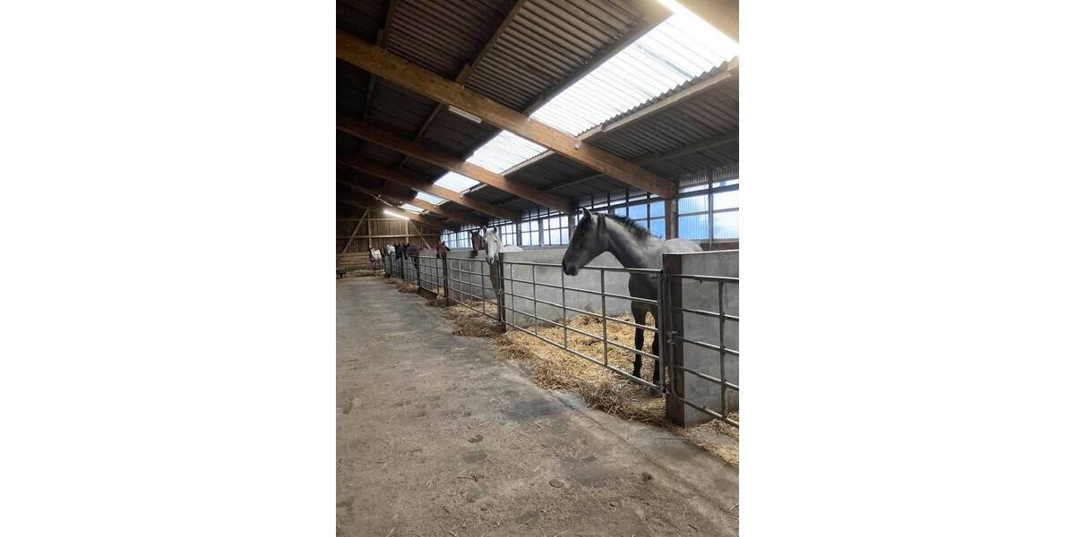 Bauernhaus, Landhaus Wurster Nordseeküste - 1.700.000&euro; | Angebot:26991114