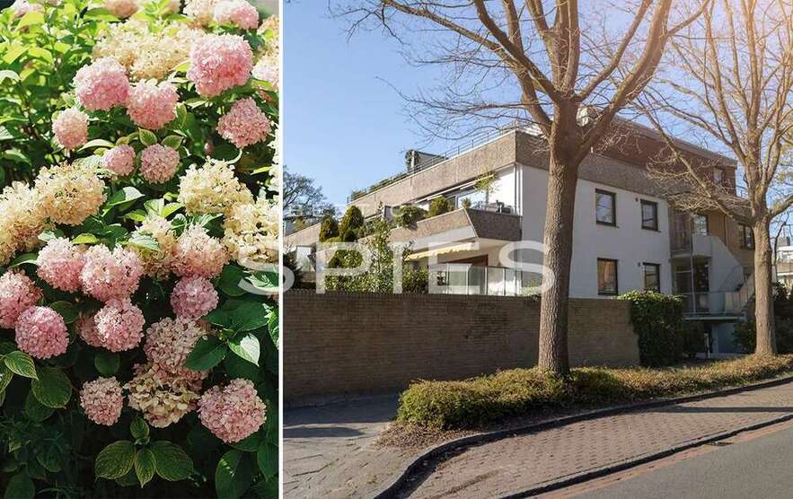 Wohnung zum Kaufen in Bremen 545.000 € 181 m²