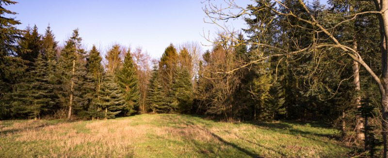 Grundstück Lintig Lintig - 190.000&euro; | Angebot:25676065