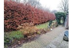 Doppelhaushälfte Nordenham - 4 Zimmer, 108 m&sup2;, 139.000&euro; | Angebot:27257477