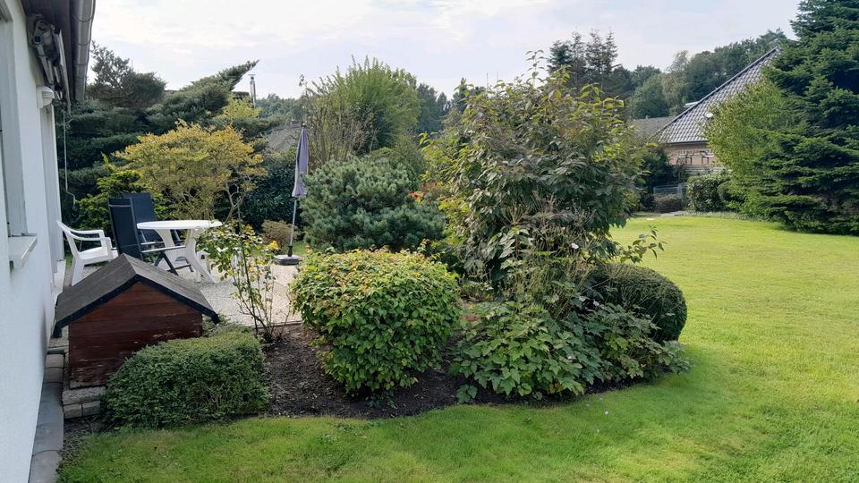 Einfamilienhaus Schiffdorf - 3 Zimmer, 75 m&sup2;, 169.000&euro; | Angebot:24303045