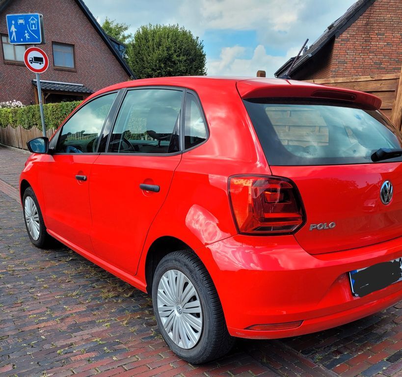 Polo