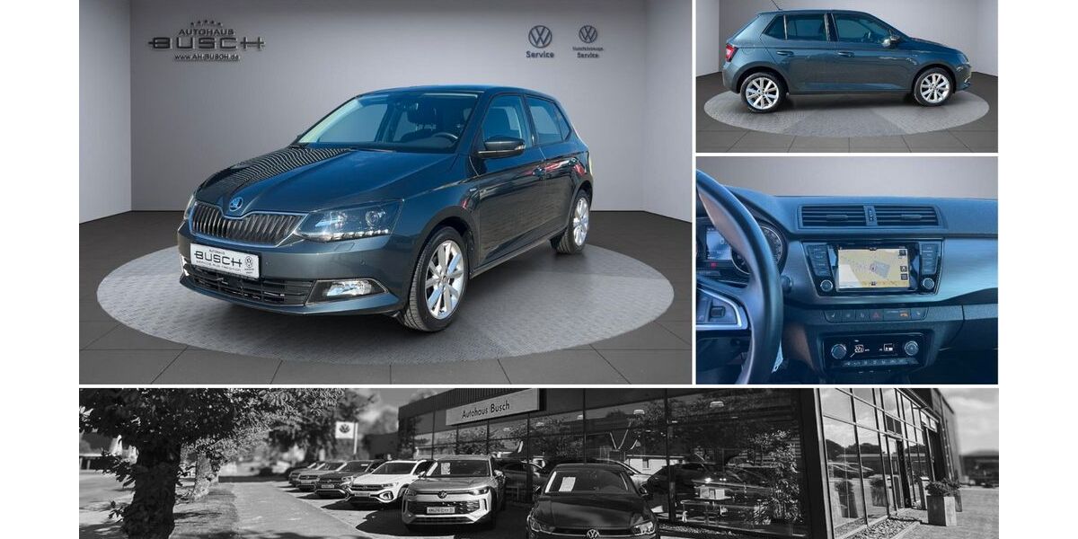 Skoda Fabia 33.624 km 14.350 &euro; Beverstedt OT Lunestedt 27616