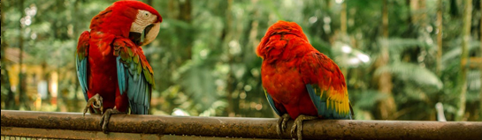 Zoo am Meer Bremerhaven