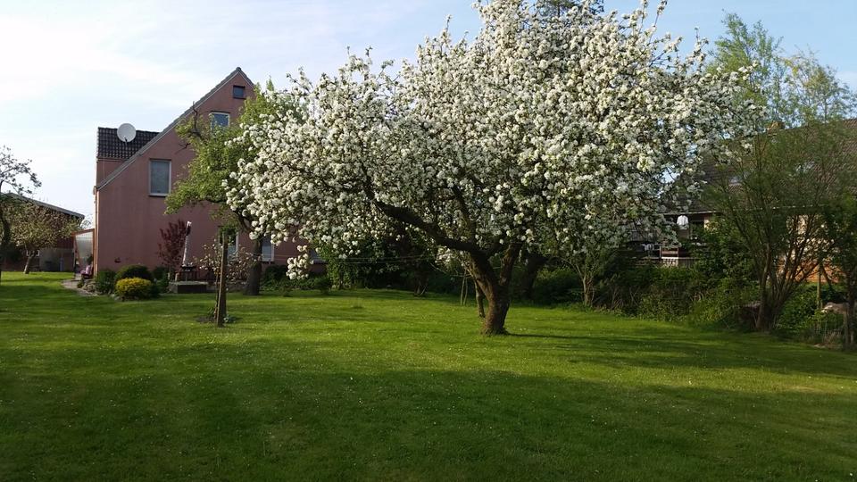 Sonnige Mietwohnung in Küstennähe 3 zimmer