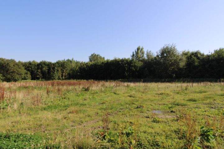 Baugrundstück mit Südausrichtung in Butjadingen-Eckwarden zimmer