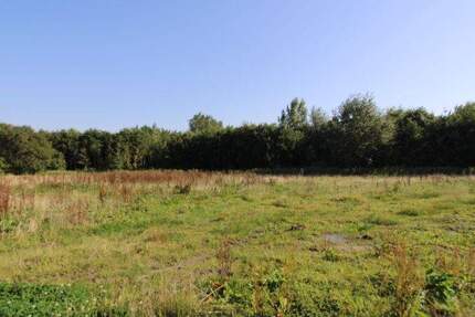 Grundstück Butjadingen / Eckwarden Stollhamm - 116.000&euro; | Angebot:23302478