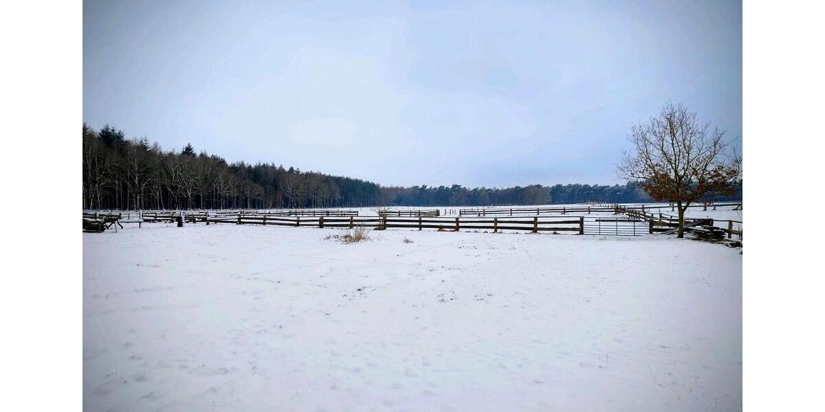 Einfamilienhaus Beverstedt - 8 Zimmer, 240 m&sup2;, 2.950&euro; | Angebot:24773878