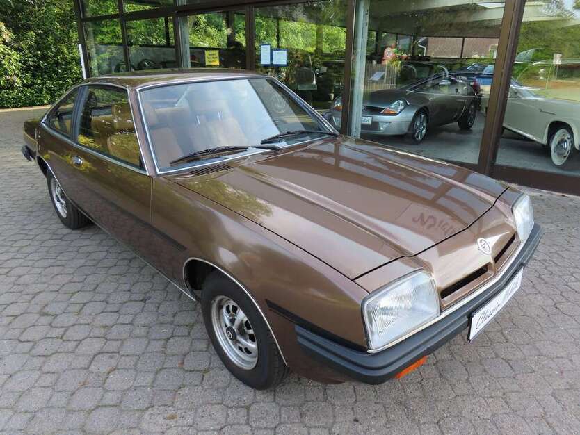 Manta