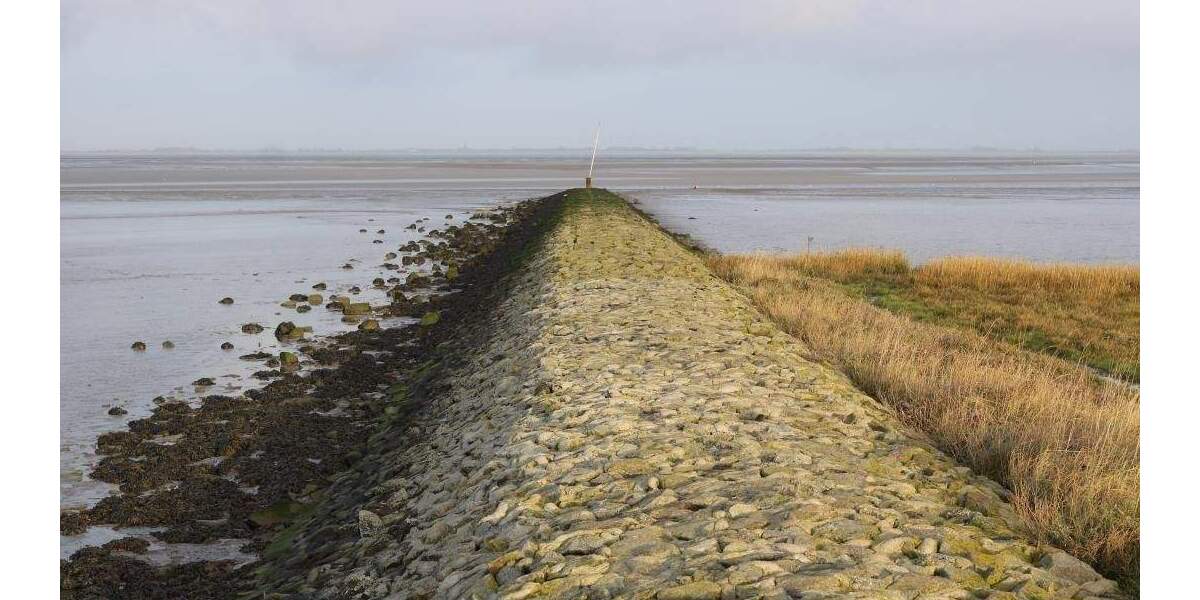 Reihenmittelhaus Butjadingen Burhave - 4 Zimmer, 73 m&sup2;, 215.900&euro; | Angebot:25899788