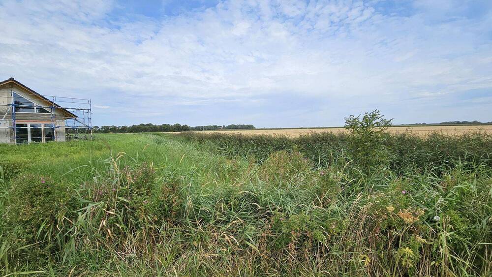 Grundstück Wurster Nordseeküste Cappel-Neufeld - 186.000&euro; | Angebot:22491420