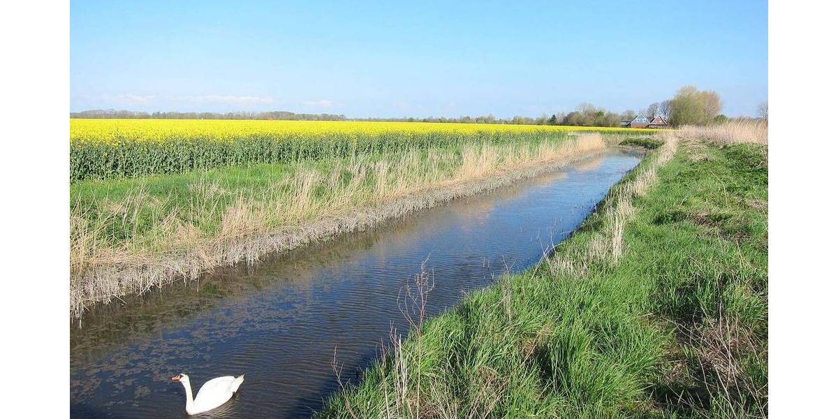 Grundstück Wurster Nordseeküste Cappel-Neufeld - 186.000&euro; | Angebot:25798109